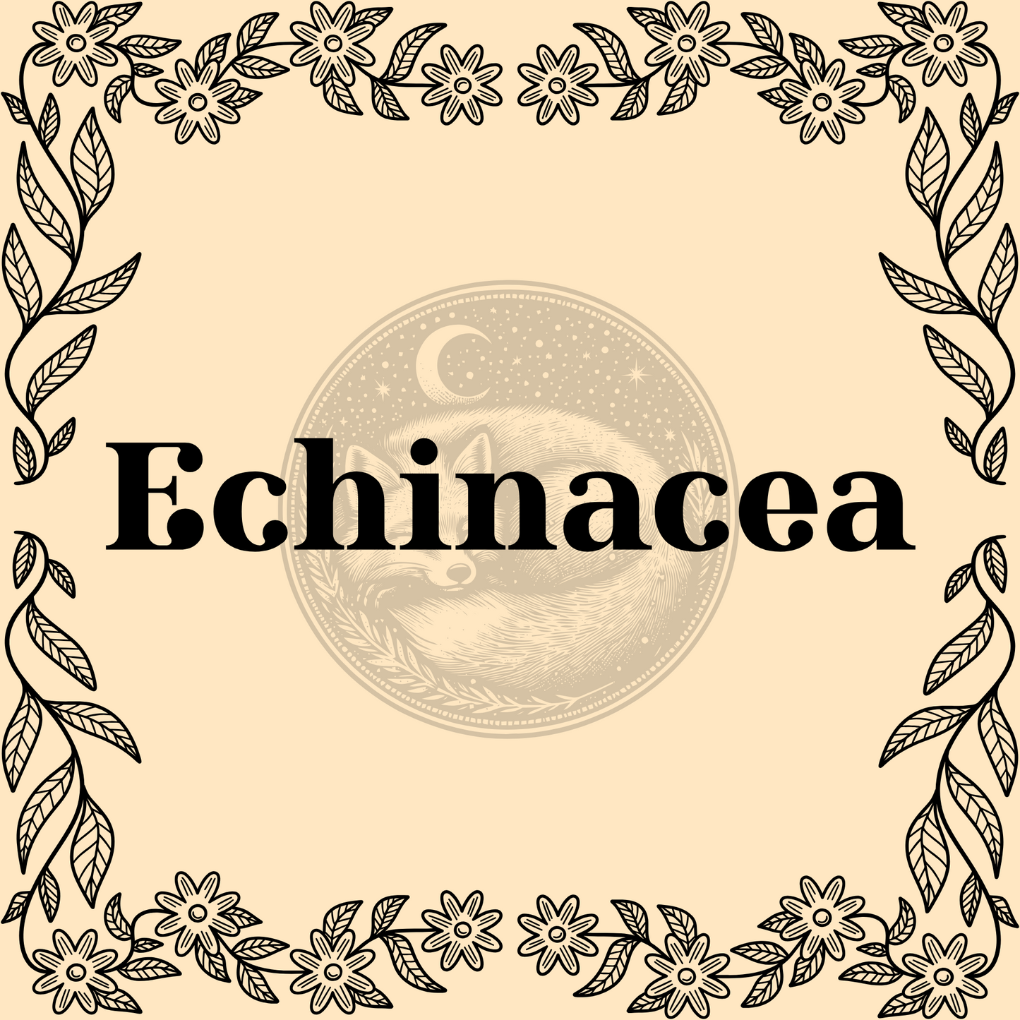 Echinacea – Wildcrafted echinacea 1/2oz bag for immune support, teas, and protective spells
