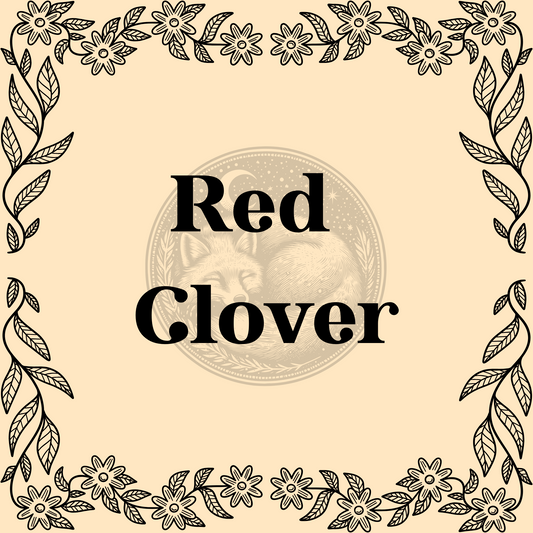 Red Clover – Organic red clover 1/2oz bag for teas, herbal remedies, and love or protection spells