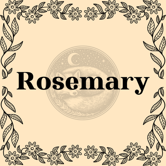 Rosemary – Organic rosemary 1/2oz bag for cooking, teas, and protective spells