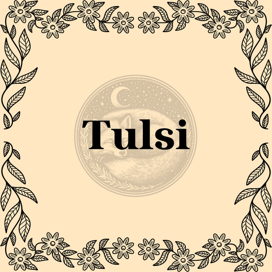 Tulsi – Organic tulsi 1/2oz bag for teas, wellness, and protective or spiritual spells