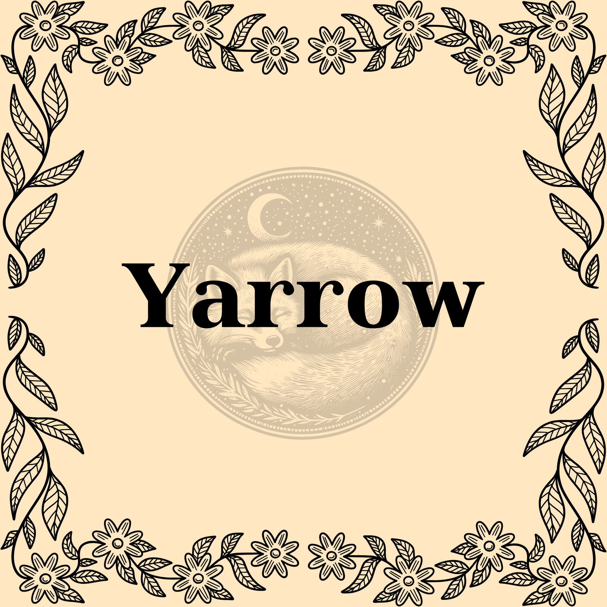Yarrow – Organic yarrow 1/2oz bag for teas, herbal remedies, and protection or healing spells