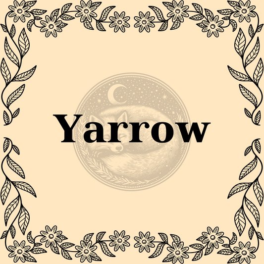 Yarrow – Organic yarrow 1/2oz bag for teas, herbal remedies, and protection or healing spells