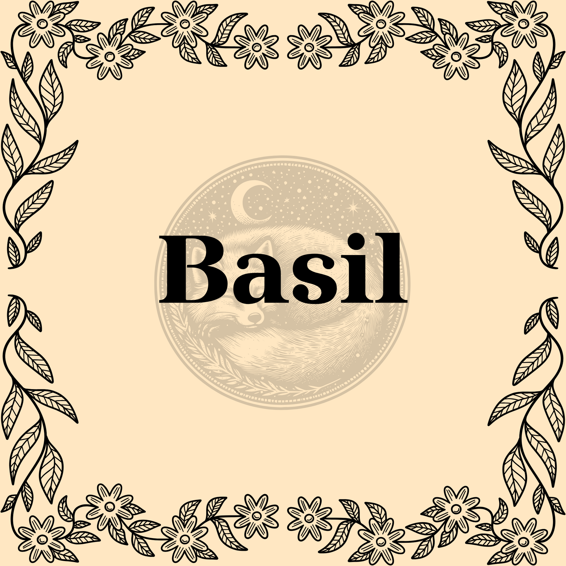 Basil – Organic dried basil 1/2oz bag for culinary and magical use