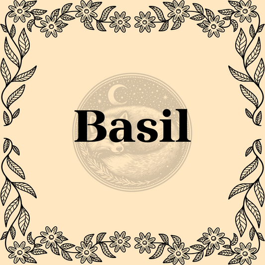 Basil – Organic dried basil 1/2oz bag for culinary and magical use