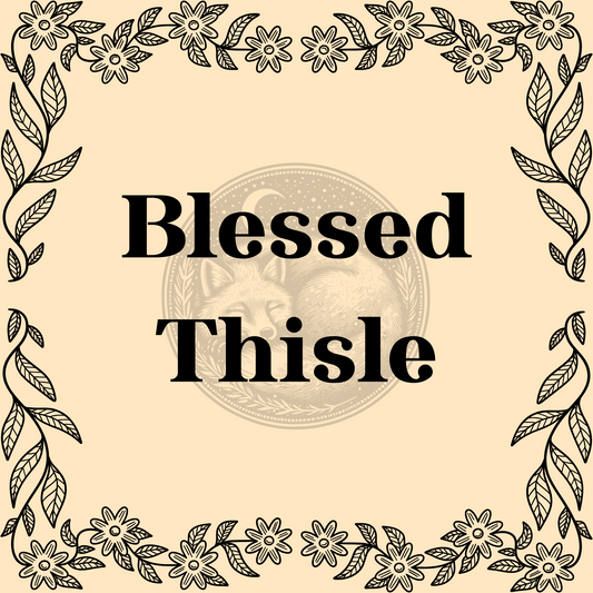 Blessed Thistle – Organic blessed thistle 1/2oz bag for herbal remedies and protective spells