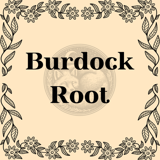 Burdock Root – Organic burdock root 1/2oz bag for teas, cleansing, and protective spells