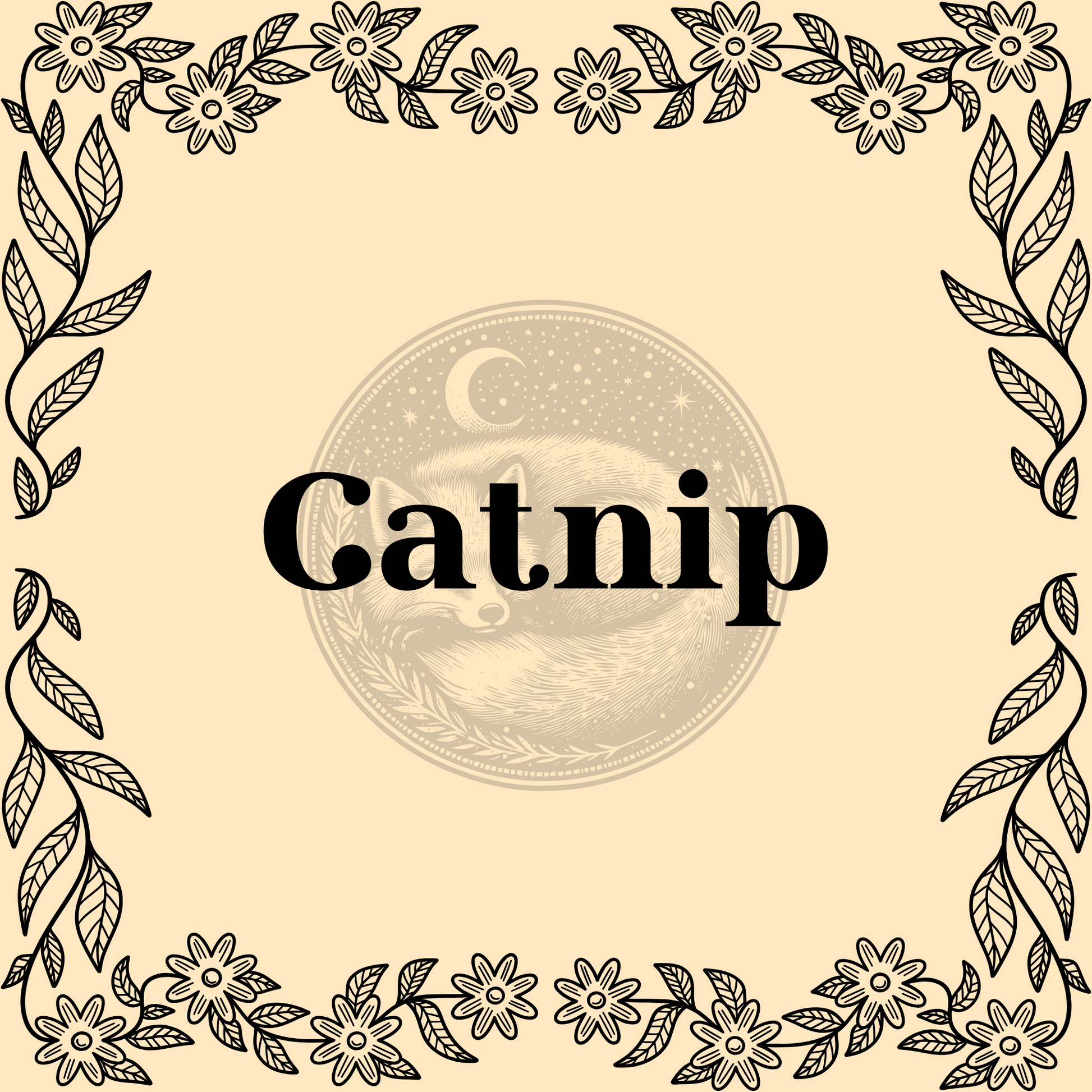 Catnip – Organic catnip 1/2oz bag for teas, pets, and magical charms