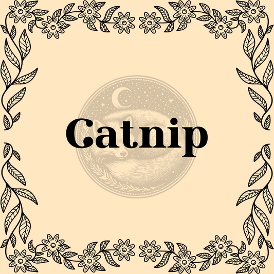 Catnip – Organic catnip 1/2oz bag for teas, pets, and magical charms