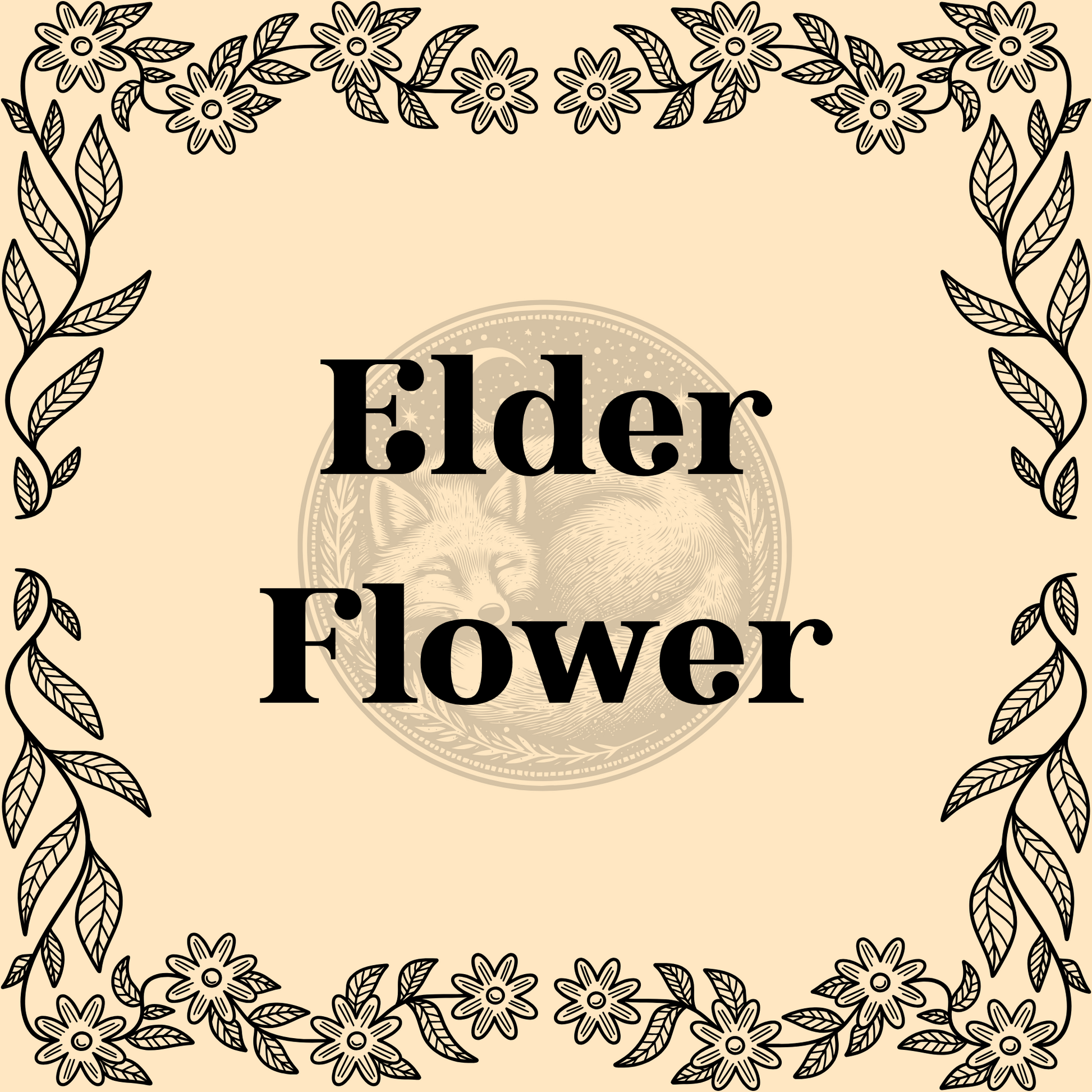 Elder Flower – Wildcrafted elder flower 1/2oz bag for teas, herbal remedies, and cleansing spells