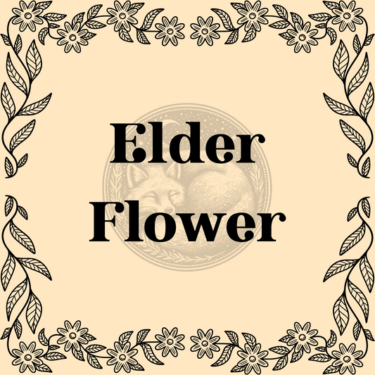 Elder Flower – Wildcrafted elder flower 1/2oz bag for teas, herbal remedies, and cleansing spells