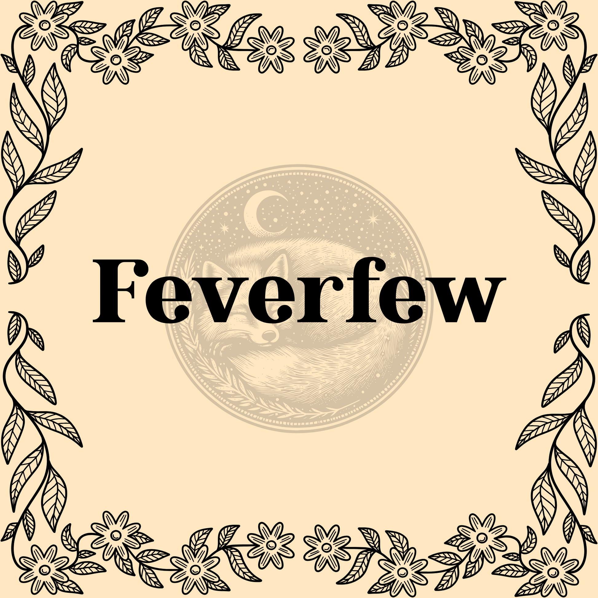 Feverfew – Organic feverfew 1/2oz bag for teas, calming remedies, and protective spells