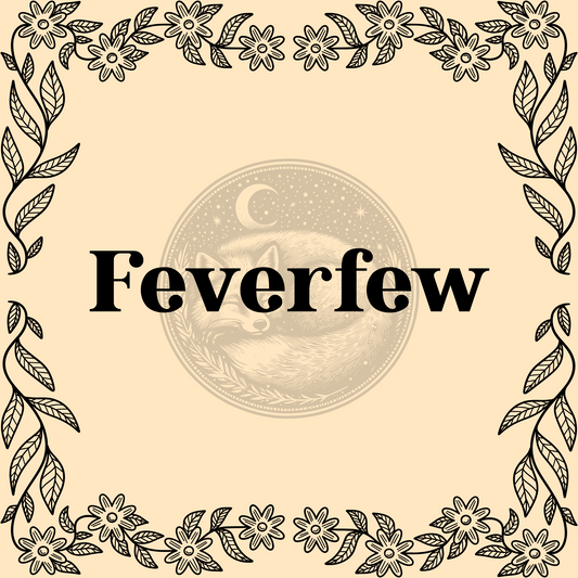 Feverfew – Organic feverfew 1/2oz bag for teas, calming remedies, and protective spells
