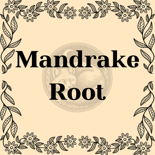 Mandrake Root – Wildcrafted mandrake root 1/2oz bag for protective spells and ritual work