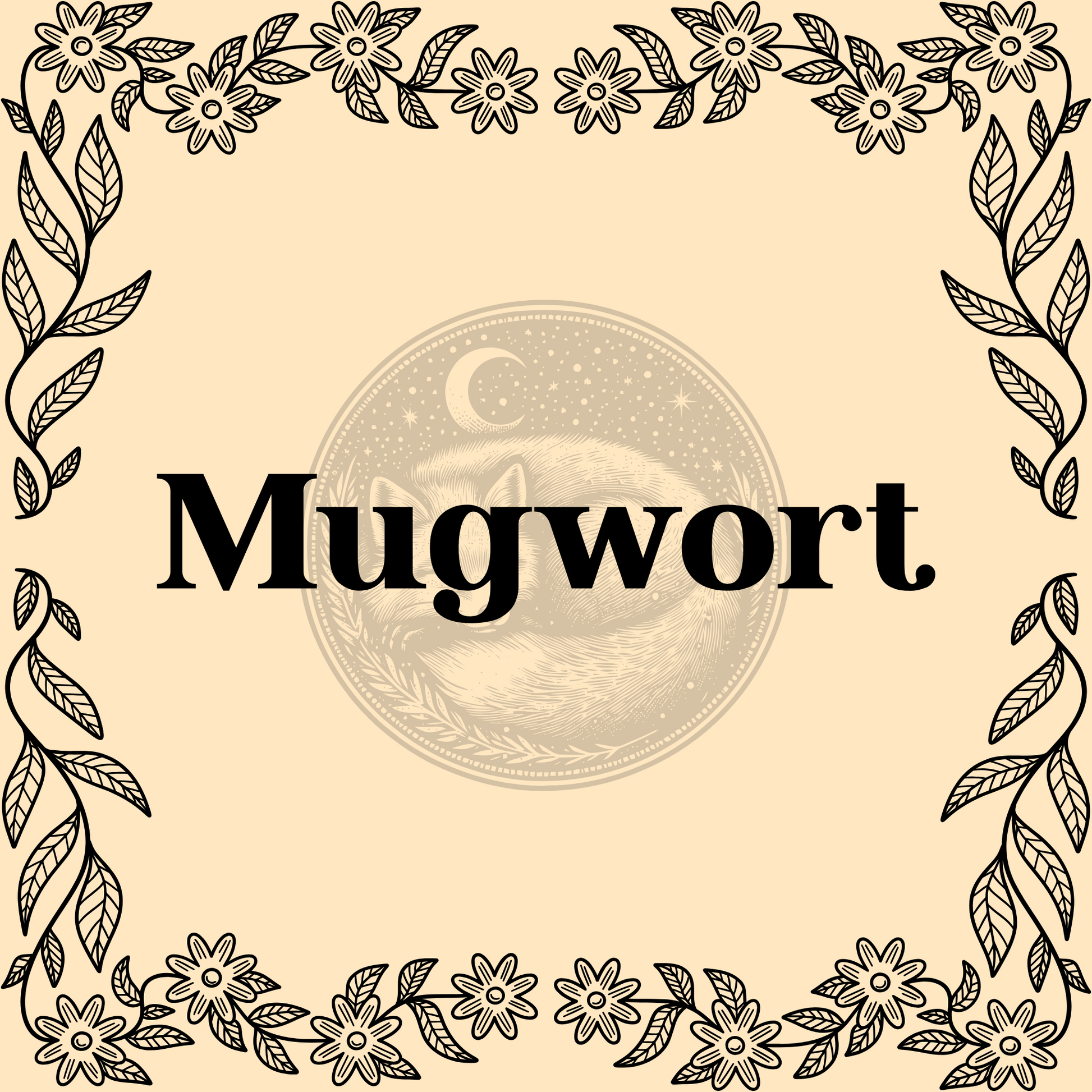 Mugwort – Organic mugwort 1/2oz bag for teas, dream work, and divination rituals