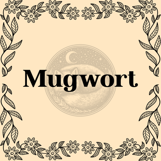 Mugwort – Organic mugwort 1/2oz bag for teas, dream work, and divination rituals