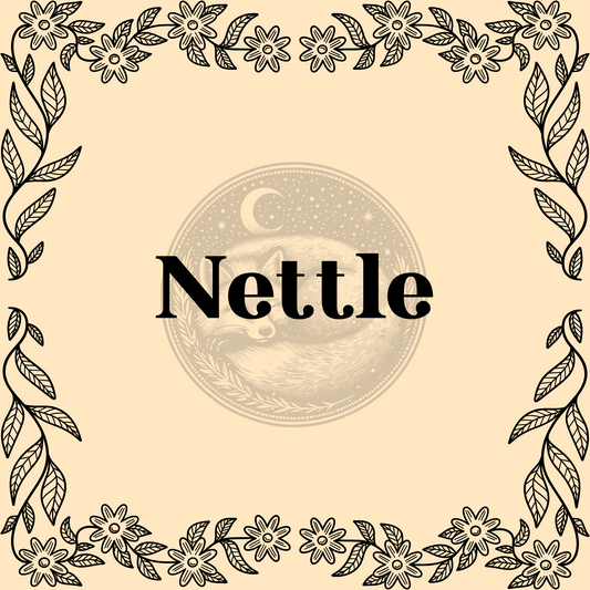 Nettle Leaf – Organic nettle leaf 1/2oz bag for teas, wellness, and protective spells
