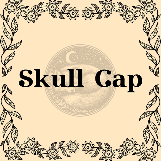 Skullcap – Organic skullcap 1/2oz bag for calming teas and protective or spiritual spells