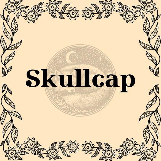 Skullcap – Organic skullcap in 20ml, 30ml, and 40ml jars for calming teas and protective or spiritual spells