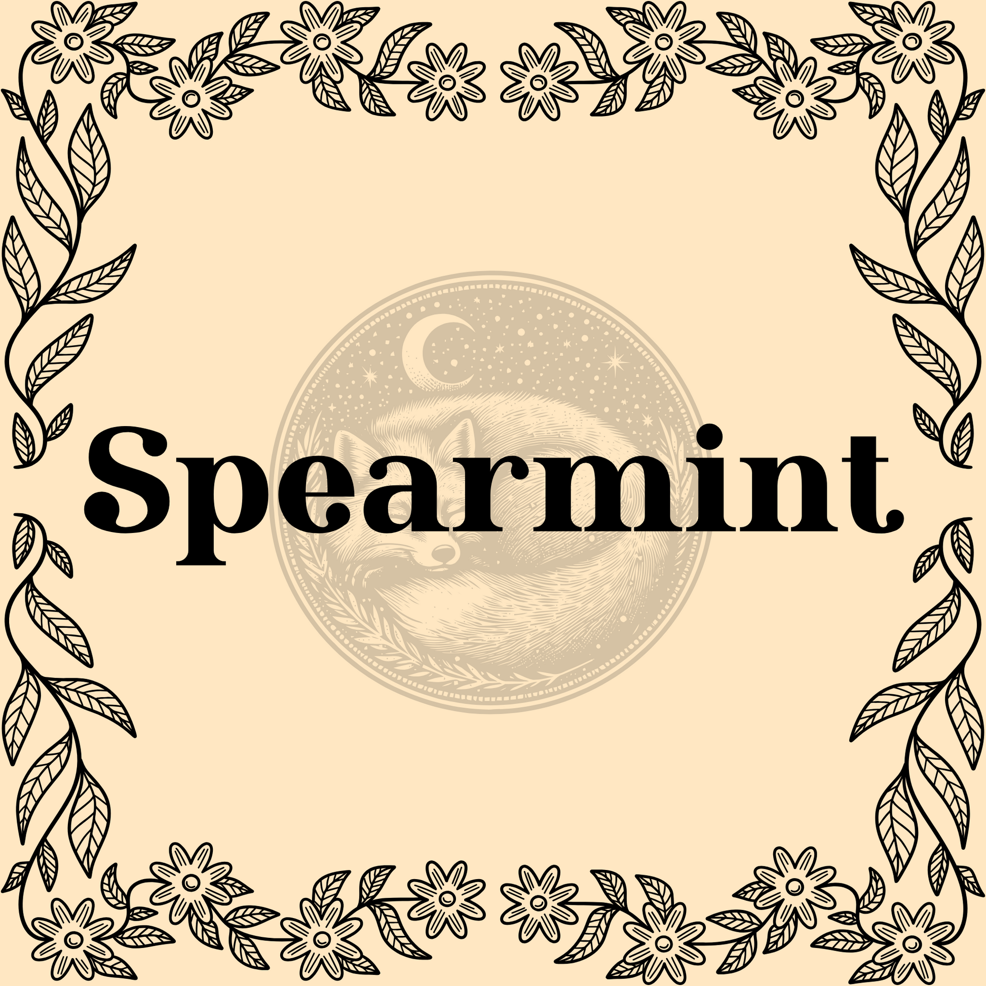 Spearmint – Organic spearmint 1/2oz bag for teas, culinary use, and protection spells