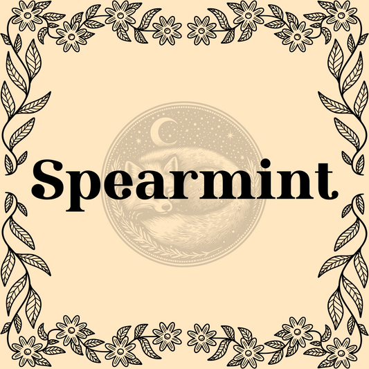 Spearmint – Organic spearmint 1/2oz bag for teas, culinary use, and protection spells