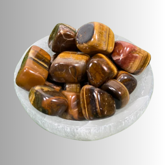 Tumbled Tiger’s Eye crystal in golden-brown bands with silky luster, used for courage, confidence, protection, focus, and grounding