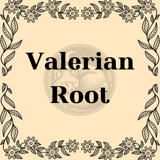 Valerian Root – Organic valerian root 1/2oz bag for calming teas and relaxation or protection spells